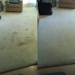 Citrus Carpet Cleaning Cumming GA
