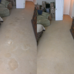 Citrus Carpet Cleaning Cumming GA