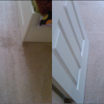 Citrus Carpet Cleaning Cumming GA