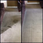 Citrus Carpet Cleaning Cumming GA