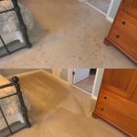 Citrus Carpet Cleaning Cumming GA