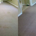 Citrus Carpet Cleaning Cumming GA