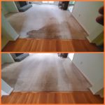 Citrus Carpet Cleaning Cumming GA