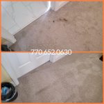 Carpet Cleaning Flowery Branch GA