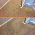 Carpet Cleaning Gainesville GA