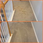 Carpet Cleaning Gainesville GA