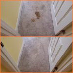 Carpet Cleaning Roswell GA