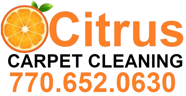 Best Carpet Cleaner Roswell GA