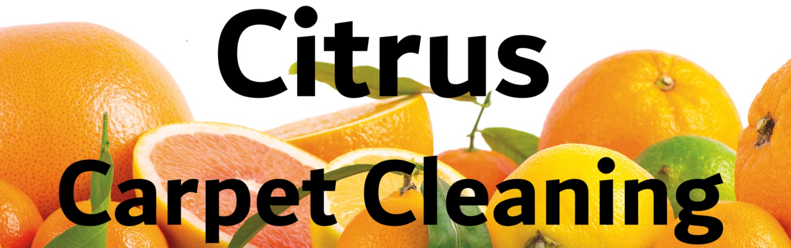 Best Carpet Cleaner Flowery Branch GA